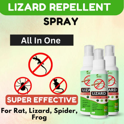 Lizard Repellent Spray 50ML |  Gecko Herbal Lizard Repellent Spray | 10X Strong Formula | Odour-Free, Chemical-Free, Eco-Friendly | 15-Day Protection (Pack of 3)