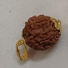 Original 7 Mukhi Rudraksha with Cap – Natural & Handpicked Spiritual Bead | Authentic & Organic | Pack of 1