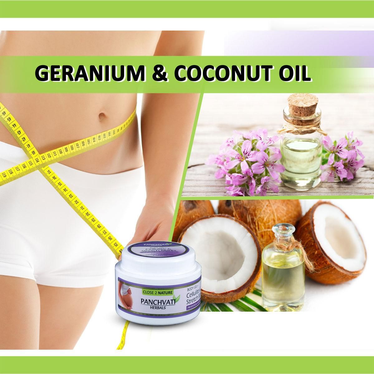 Panchvati Herbal Body Gel for Stretch Marks 100gm – Enriched with Natural Oils & Gotu Kola | Firms, Hydrates & Reduces Scars | For Women