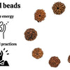 Original 7 Mukhi Rudraksha with Cap – Natural & Handpicked Spiritual Bead | Authentic & Organic | Pack of 1