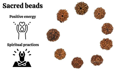 Original 7 Mukhi Rudraksha with Cap – Natural & Handpicked Spiritual Bead | Authentic & Organic | Pack of 1
